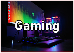 NL_GamingV2