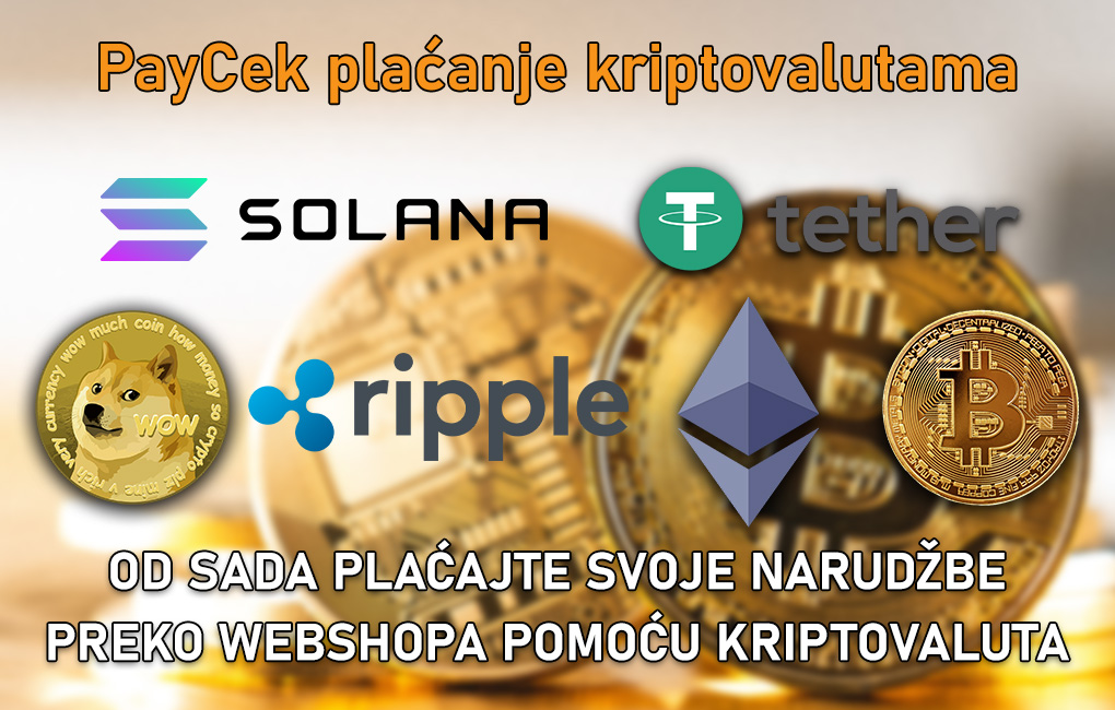 paycekV1