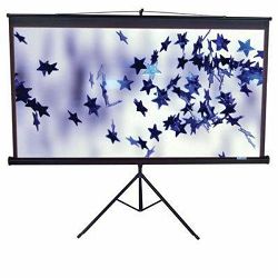 Platno Elite-Screens 203x203 (na stalku) crno T113UWS1