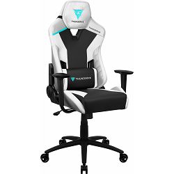 Thunder X3 TC3 Gaming Chair - white, TEGC-2043102.21