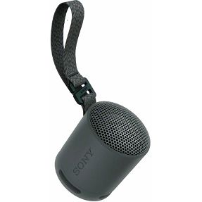 Sony zvučnik SRS-XB100, Bluetooth, IP67, Black, SRSXB100B.CE7