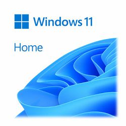 Microsoft Windows 11 Home 64bit ENG DVD OEM, KW9-00632