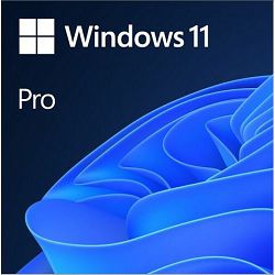 Microsoft Windows 11 Pro 64bit FPP ENG USB, HAV-00163