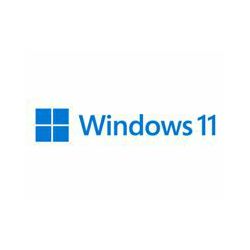 Microsoft Windows 11 Pro 64bit FPP CRO, USB, HAV-00141