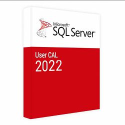 Microsoft SQL Server 2022 - 1 User CAL