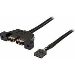 Asrock DeskMini 2xUSB 2.0 cable, 5RB000010020, 4717677331783