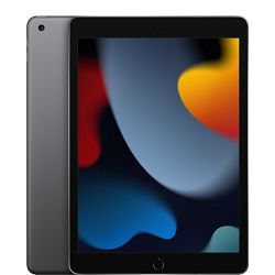 Apple iPad 10.2", Wi-Fi, 256GB, 9.gen,  space gray, MK2N3FD/A