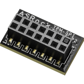 Asrock TPM-SPI Module V1.2, 90-MCA080-00UBNZ