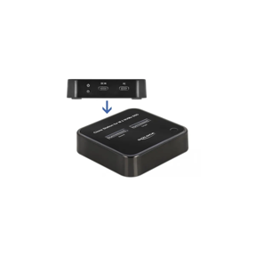 docking-and-cloning-station-delock-2x-m2-pcie-nvme-64177-17307-037500074.webp