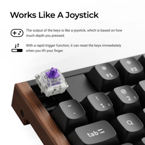 keychron-mehanicka-tipkovnica-k10-he-bluetooth24ghz-gateron--94881-073930021.webp
