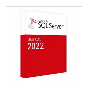 Microsoft SQL Server 2022 - 1 User CAL