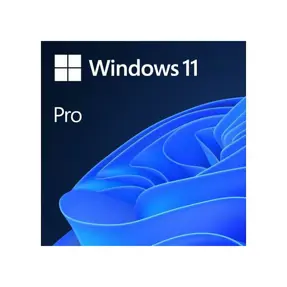 Microsoft Windows 11 Pro 64bit CRO DVD OEM, FQC-10524