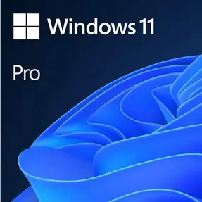 Microsoft Windows 11 Pro 64bit ENG DVD OEM, FQC-10528
