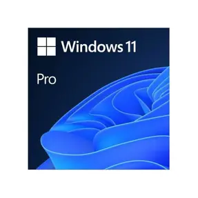 Microsoft Windows 11 Pro 64bit FPP ENG USB, HAV-00163