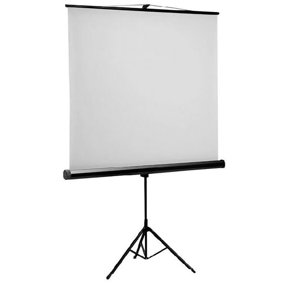 Platno E-View TS180, 99" (178x178cm), 1:1, samostojeće