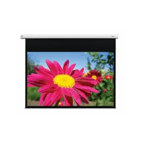 Platno Optoma DE-1109EGA, 109" (234x146cm), 16:10, zidno/stropno, električno