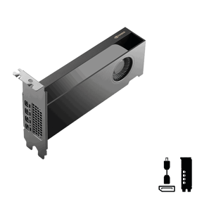 PNY RTX PRO 2000 Blackwell, 16GB GDDR7 ECC, NVIDIA, VCNRTXPRO2000-SB