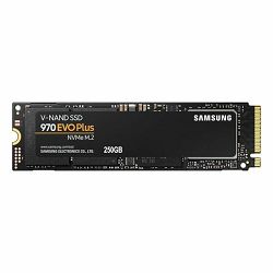 Samsung SSD 250GB 970 EVO PLUS M.2, MZ-V7S250BW