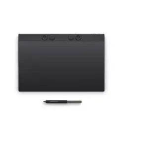 wacom-intuos-pro-large-usbbluetooth-ptk870k0b-79352-083100055.webp