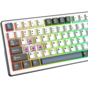 white-shark-mehanicka-tipkovnica-gk-007252-excalibur-l-hr-us-56087-073910049.webp