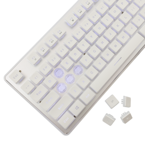 white-shark-tipkovnica-gk-003241-tachi-us-bijela-67535-073910056.webp