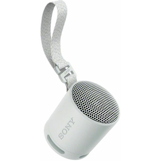 Sony zvučnik SRS-XB100, Bluetooth, IP67, Grey, SRSXB100H.CE7 - Slika 1