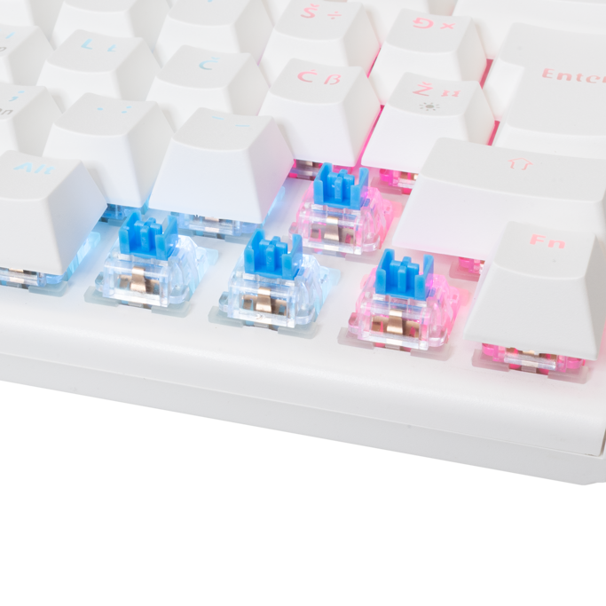 White Shark mehanička tipkovnica GK-002222V2 WAKIZASHI-2 / HR, USB, Blue switch, Bijela - Slika 7