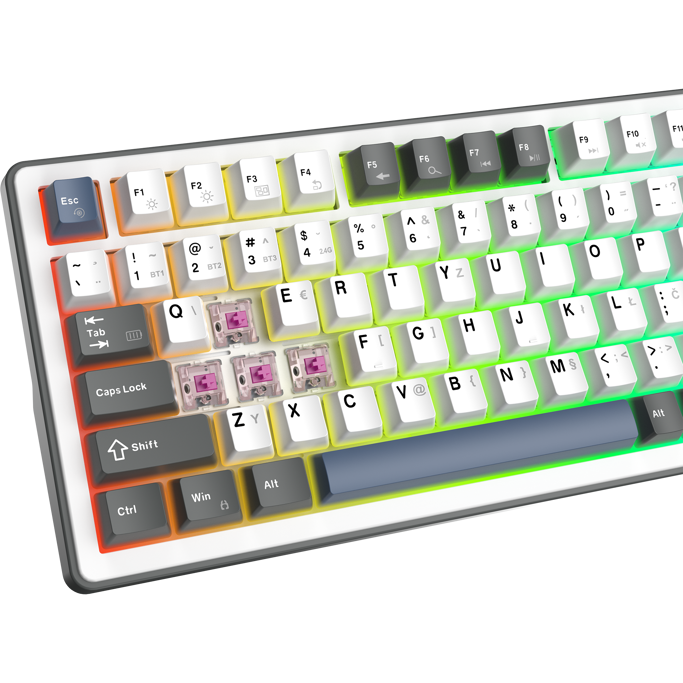 White Shark mehanička tipkovnica GK-007252 EXCALIBUR-L / HR, USB/Bluetooth, KTT Hot-Swap (Wine Red) switch, Bijela - Slika 6