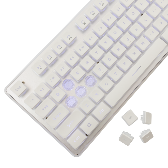 White Shark žična tipkovnica GK-003241 Tachi / US, USB, Bijela - Slika 4