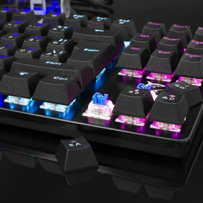 White Shark tipkovnica GK-1925 SPARTAN / HR, USB, TKL, blue switch, crna - Slika 3